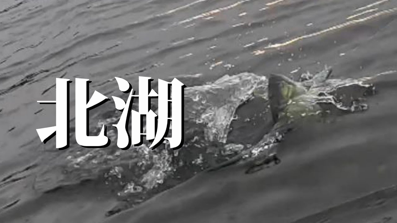 入荷情報】美しき革新的ルアーを創る超人気ブランド！マドタチより