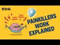 How Do Painkillers Work (Explained)