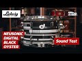 Ludwig digital black oyster  sound test