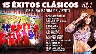 15 Exitos Clasicos Vol.1 con Banda Los Huejoteños