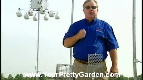 Birdman Mel Attracting Purple Martins