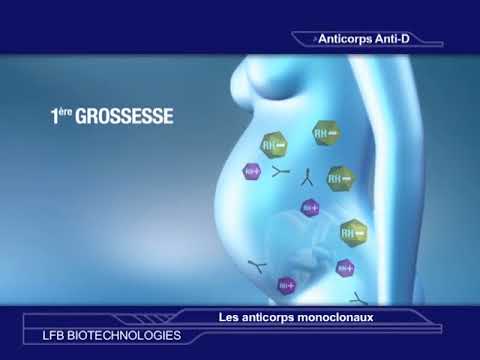 Vidéo: Anticorps Pendant La Grossesse