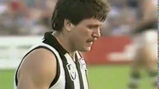 Brian Taylor Collingwood Highlights