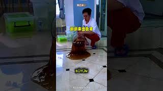 Jel Eğlencesi Kontrolden Çıktı