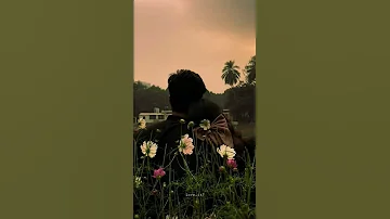 ليه عايزين ياخدوه من قلبي كل كلامهم من حيأثر حالات واتس اب تصميمي ستوريات لايك 