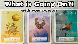 What is Happening with Your Person?! Little -No Contact Love Pick A Card Timeless Tarot reading Information