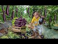 Cutis rickshaw harvests eggplant to sell and buy meat feed mom yen nhi