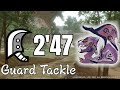 Apex rathian great sword solo 247 guard tackle  mh rise