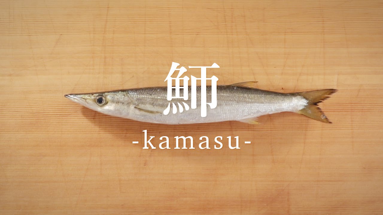 魳 かます のさばき方 How To Filet Barracudas 日本さばけるプロジェクト Youtube