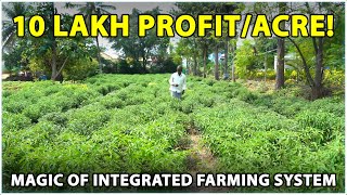 How This Farmer Earns 10 Lakh Per Acre The Magic Of Integrated Farming