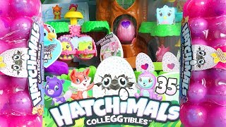 해치멀 동물들과 놀이터, Hatchimals 25Eggs 25알 Colleggtibles Playset