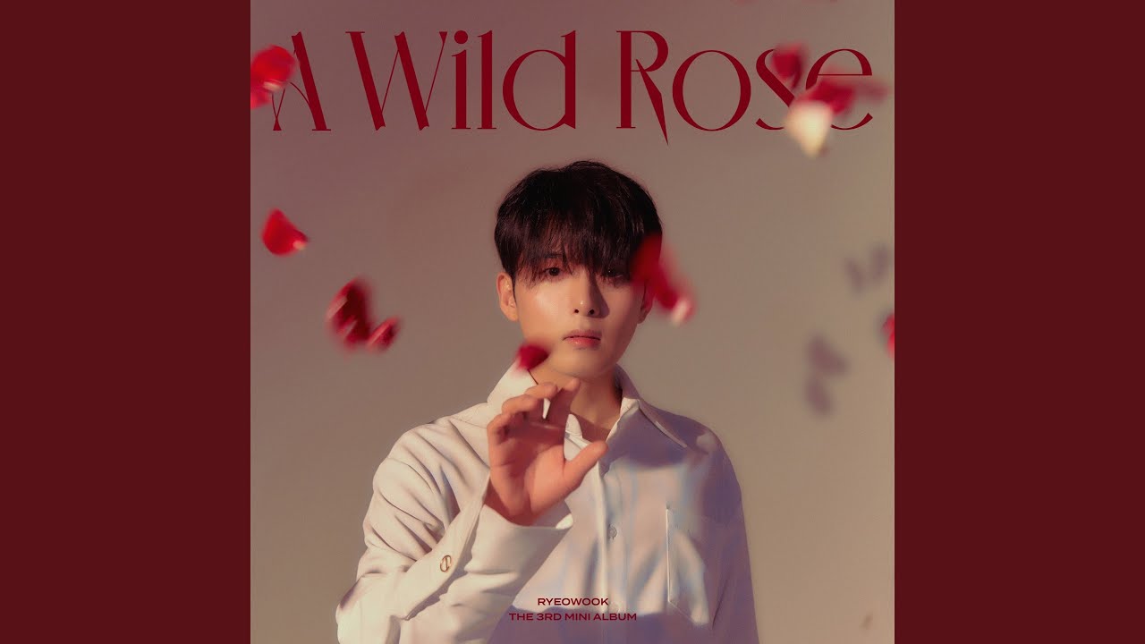 찬란한 나의 그대 Everlasting Love