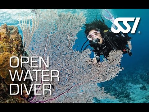 Open Water Class