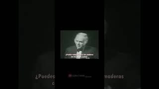 Bruce Lee - ¡Violencia hombre! - La Entrevista Perdida