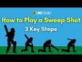 How to play sweep shot in cricket  3 key steps