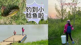 新手钓鱼（二）钓到第一条小鲶鱼啦 Caught first catfish with plastic lure | Binbrook Conservation Area