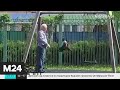 В Домодедово мужчина гуляет с котом на детской площадке и качает питомца на качелях - Москва 24