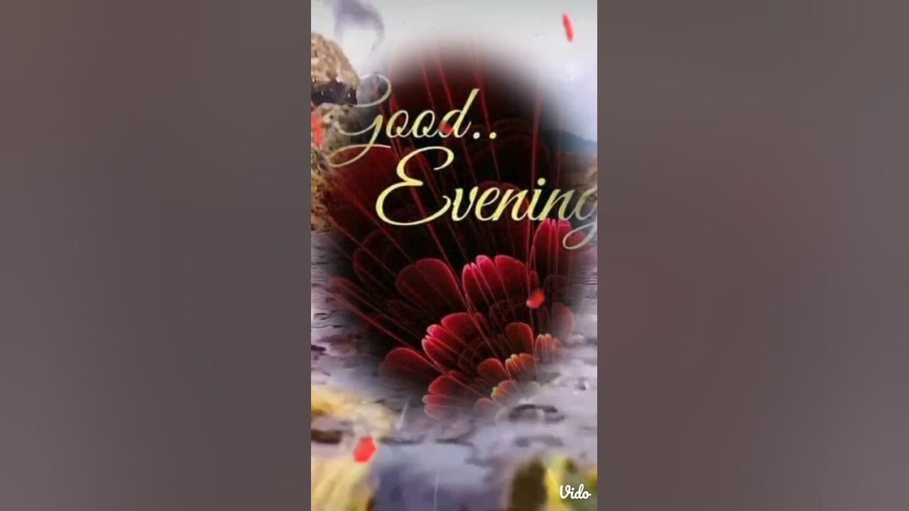 Good evening status video #shortvideo #goodevening Good evening status video #shortvideo #goodevening