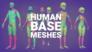 Base Meshes - Free Asset Bundle