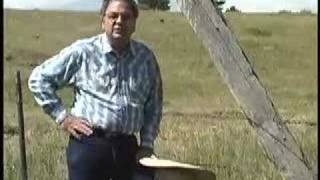 Doc Mehl - The Train Back To Ne Orlins