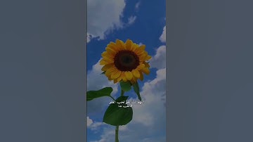 سورة العصر..