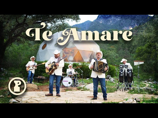 Pesado - TE AMARÉ