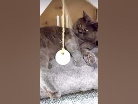 Жирдяй - YouTube