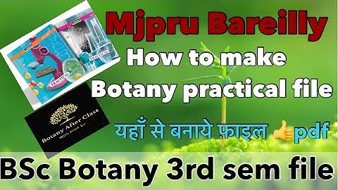 Bsc 3rd semester botany file kese banaye / how to make botany practical file mjpru