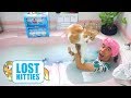 Buscando Gatos en una Bañera - Juguetes vs Ami