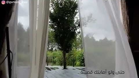 فضل قراءة الأذكار / الشيخ محمد الشنقيطي