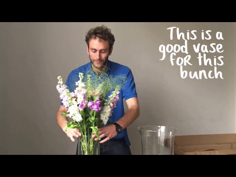 Video: Fragrant Bouvardia