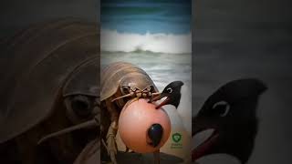 Animals life birds life #animals #ai #wildlife #petlife... #Shorts #812_ai_animals_