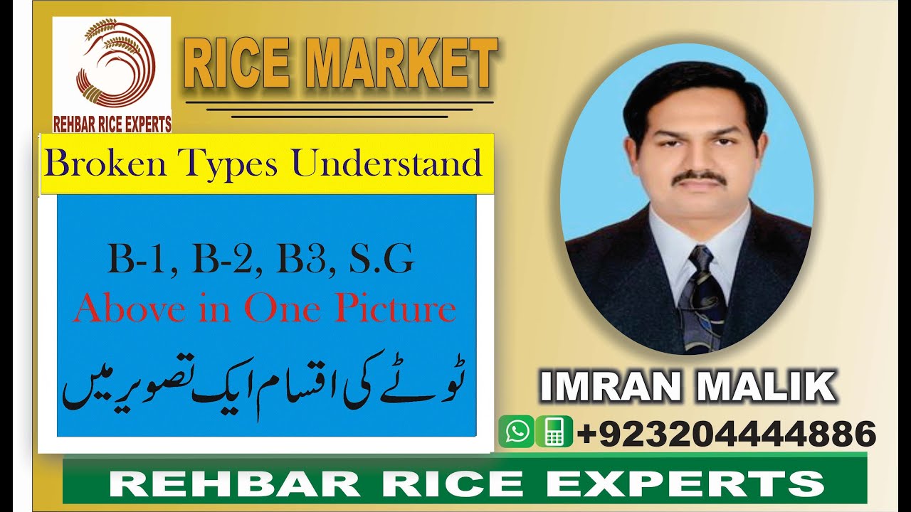 Broken Rice Types in One Picture || Types of Broken Rice || B1|| B2 ...