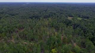 106+/- acres - Hardeman Co, TN - Cloverport Tract