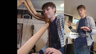 Air Waves - Harp and Theremin - original song #harp #theremin