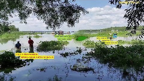 Vô tận làng nhà bè hồ Dầu Tiếng để câu cá khủng phần 1- Bảo Dương TV