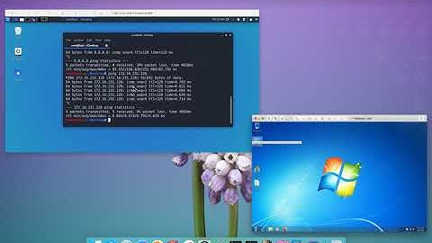 Khai thác EternalBlue trên Windows bằng Metasploit - MS17-010 - Học viện CNTT ACT.