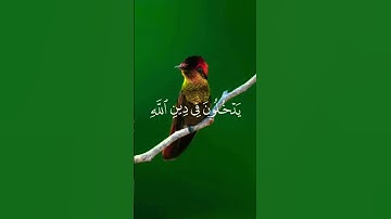 إذا جاء نصر الله والفتح 🌿سورة النصر ||حالات واتس اب قرآن كريم ||Quran Status