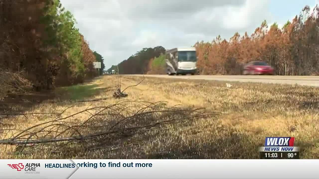 Red Flag Warning issued, burn bans in place - YouTube