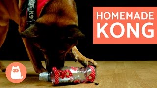 DIY Dog Toys  Kong Toy for Dogs