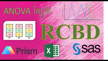 ការវិភាគ ANOVA នៃប្លង់ Randomized Complete Block Design #anova #sas #GraphPad prism