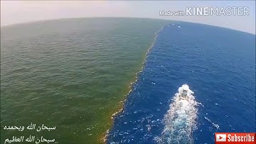تلاوة للقرآن الكريم للشيخ، عمير شميم ، سورة الرحمن