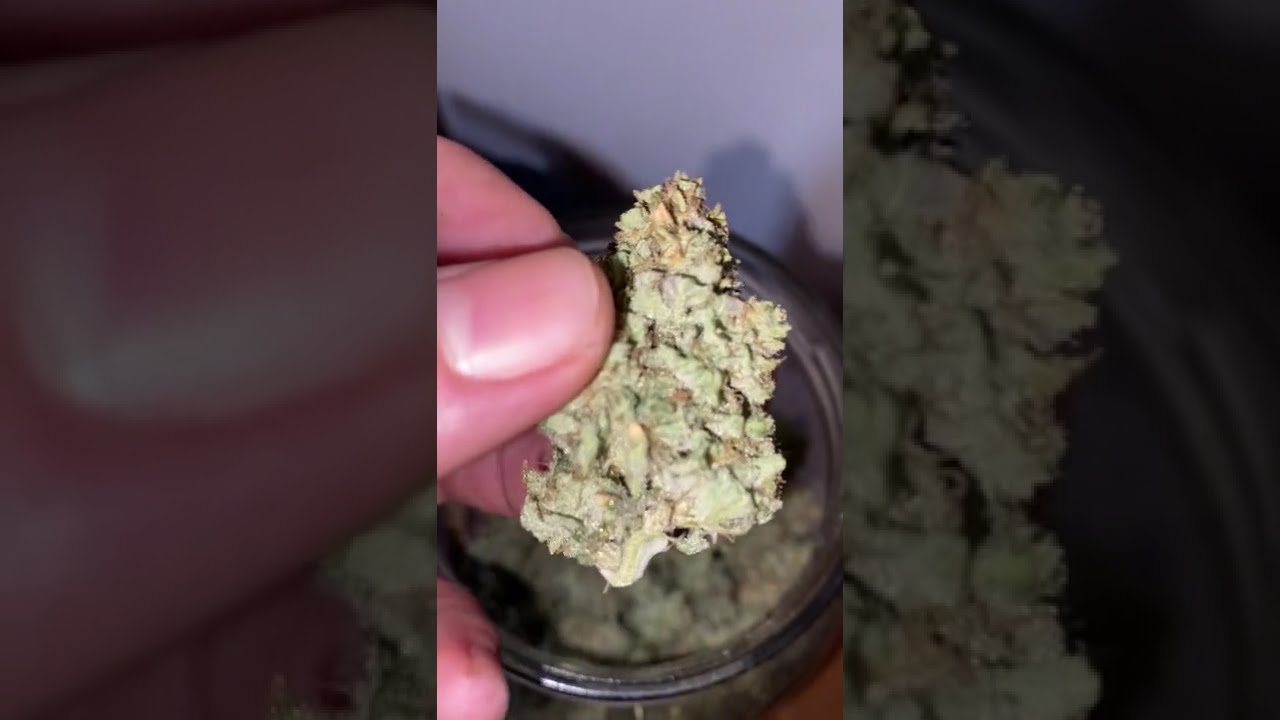 🍪 Girl Scout Cookies by 