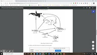 FRQ 2 Overview