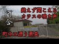 【松原市河合】悪臭が漂い、大量のカラスが屯する町。A town with a foul smell and infested with crows.