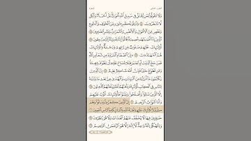 سورة البقرة الاية 161