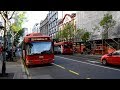 Trams and buses in Belgrade