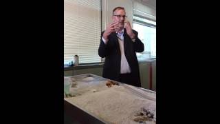 Dam Failure - NPEGLA Training