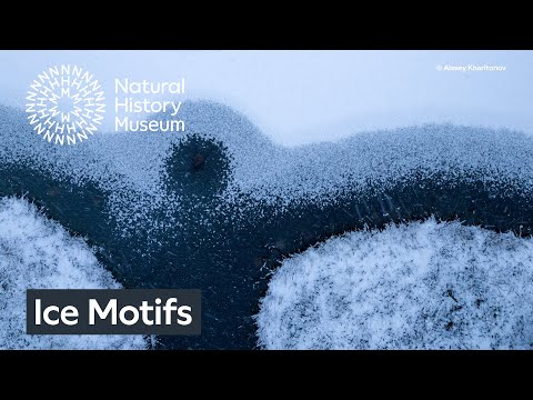 Ice motifs by Alexey Kharitonov | Wildlife Photographer of the Year