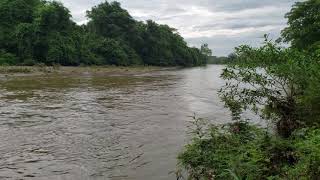 Rio Suchiate Frontera Hidalgo Frontera Hidalgo Rambutan 2019
